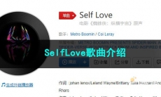 《抖音》SelfLove歌曲介绍