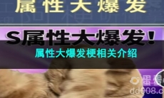 《抖音》属性大爆发梗相关介绍