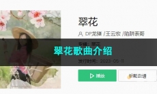 《抖音》翠花歌曲介绍