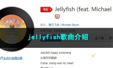 《抖音》jellyfish歌曲介绍