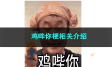《抖音》鸡哔你梗相关介绍