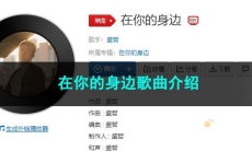 《抖音》在你的身边歌曲介绍