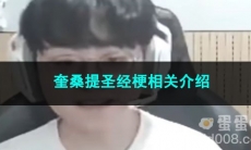 《抖音》奎桑提圣经梗相关介绍