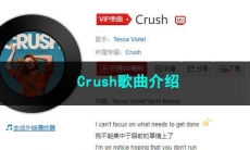 《抖音》Crush歌曲介绍