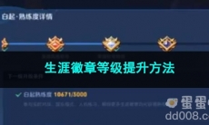 王者荣耀生涯徽章等级提升方法