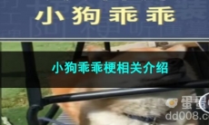 《抖音》小狗乖乖梗相关介绍