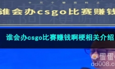 《抖音》谁会办csgo比赛赚钱啊梗相关介绍