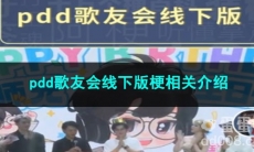 《抖音》pdd歌友会线下版梗相关介绍