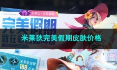 王者荣耀米莱狄完美假期皮肤价格