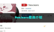 《抖音》NewJeans歌曲介绍