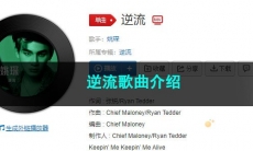 《抖音》逆流歌曲介绍