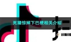 《抖音》死猪惊掉下巴梗相关介绍