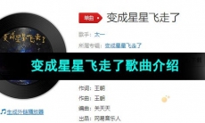《抖音》变成星星飞走了歌曲介绍
