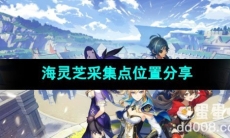 原神海灵芝采集点位置分享