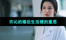 《抖音》许沁的婚后生活梗的意思介绍