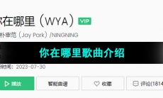 《抖音》你在哪里歌曲介绍