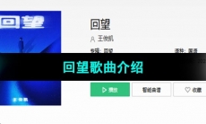 《抖音》回望歌曲介绍