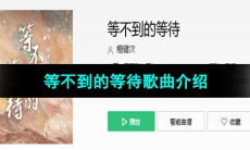 《抖音》等不到的等待歌曲介绍