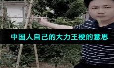 《抖音》中国人自己的大力王梗的意思介绍