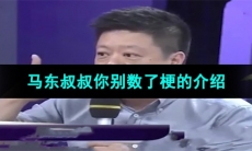 《抖音》马东叔叔你别数了梗的意思介绍