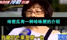 《抖音》哈密瓜有一种哈味梗的意思介绍