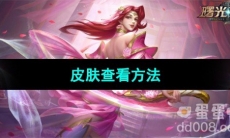 《曙光英雄》皮肤查看方法