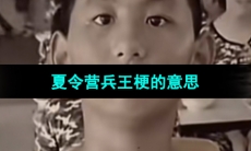 《抖音》夏令营兵王梗的意思介绍