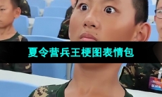《抖音》夏令营兵王梗图表情包分享