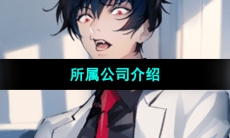 《美股达人手游》所属公司介绍