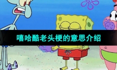 《抖音》嘻哈酷老头梗的意思介绍