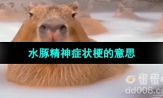 《抖音》水豚精神症状梗的意思介绍
