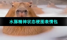 《抖音》水豚精神状态梗图表情包分享