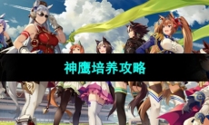 《闪耀优俊少女》神鹰培养攻略