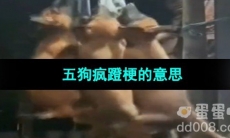 《抖音》五狗疯蹬梗的意思介绍