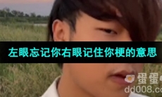 《抖音》左眼忘记你右眼记住你梗的意思介绍