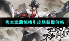《王者荣耀》宫本武藏惊梅引皮肤获取价格