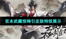 《王者荣耀》宫本武藏惊梅引皮肤特效展示