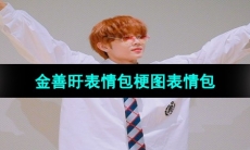 《抖音》金善旴表情包梗图表情包分享