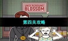 《Underground Blossom》第四关鸟桥站攻略