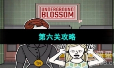 《Underground Blossom》第六关灵魂街攻略