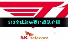 《英雄联盟》2023年S13全球总决赛T1战队介绍