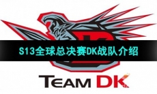 《英雄联盟》2023年S13全球总决赛DK战队介绍