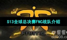 《英雄联盟》2023年S13全球总决赛FNC战队介绍