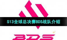 《英雄联盟》2023年S13全球总决赛BDS战队介绍