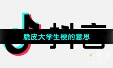 《抖音》脆皮大学生梗的意思介绍