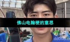 《抖音》佛山电翰梗的意思介绍