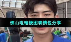 《抖音》佛山电翰梗图表情包分享