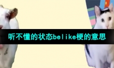 《抖音》听不懂的状态belike梗的意思介绍
