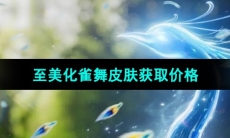 《王者荣耀》甄姬至美化雀舞皮肤获取价格