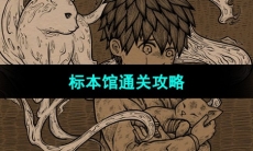 《猫博物馆》标本馆通关攻略